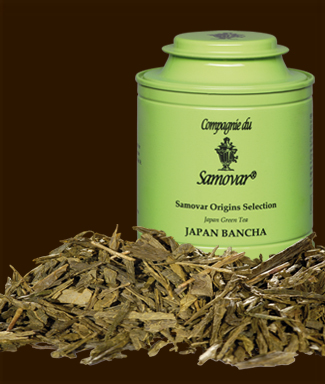 Tè verde Japan Bancha